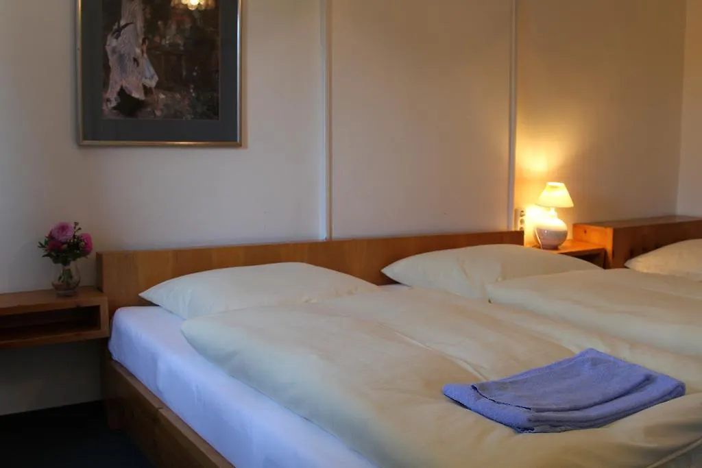 Gasthof Sollner Hof Hotel Munich Germany